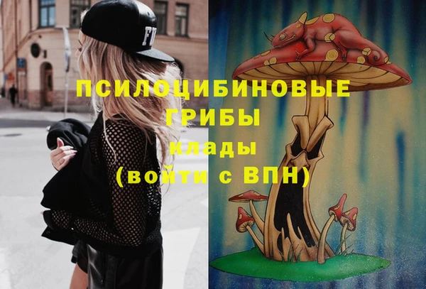 2c-b Вязьма