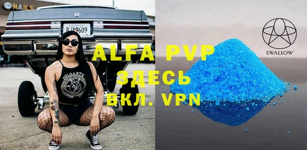 стафф Вяземский