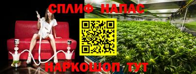 эйфоретик Волгодонск