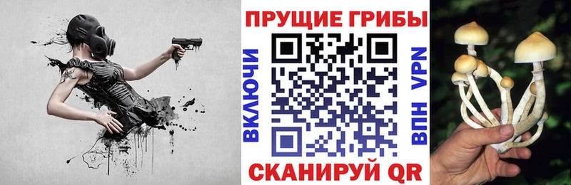shop как зайти Гуково Галлюциногенные грибы прущие грибы как найти наркотики
