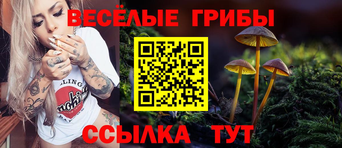 Псилоцибиновые грибы мицелий Гуково