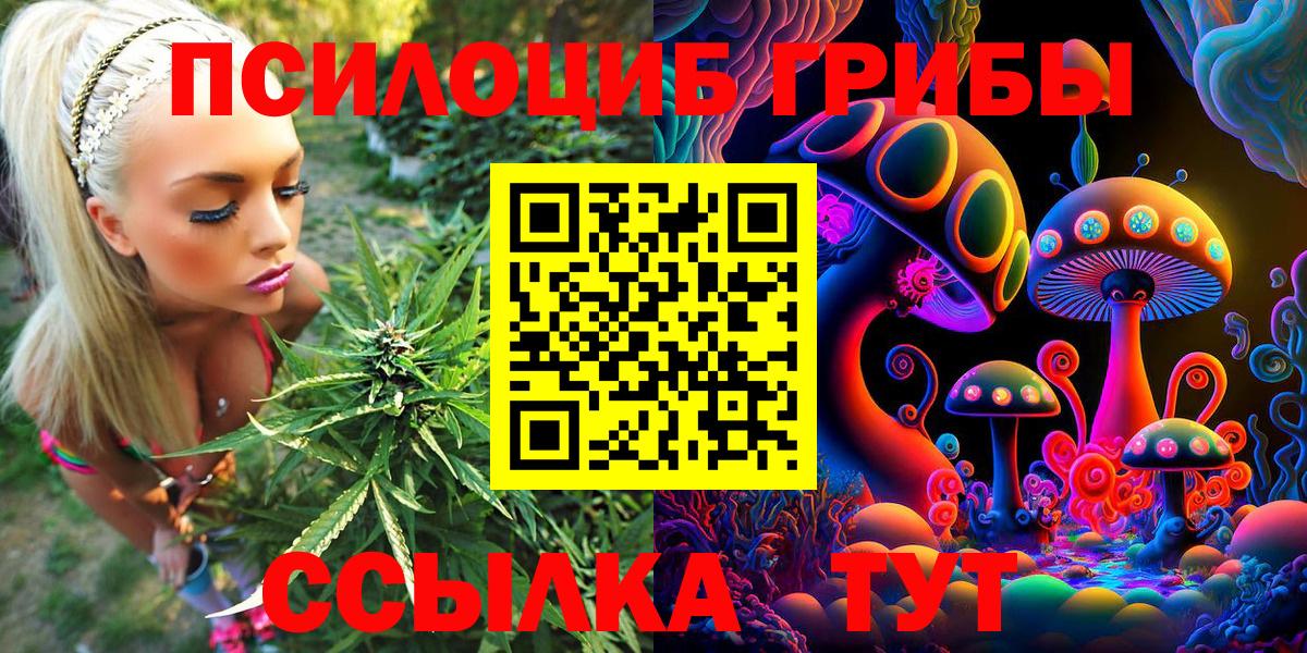 Гуково  купить  сайты  Галлюциногенные грибы MAGIC MUSHROOMS  Вход с VPN  Псилоцибиновые грибы MAGIC MUSHROOMS 
